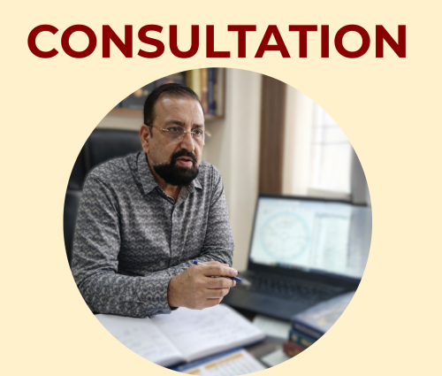 Vedic Astrologer